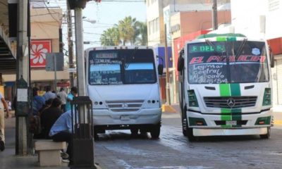 Transporte urbaano MZT