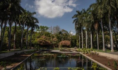 parque ecológico de Culiacán (1)