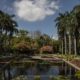 parque ecológico de Culiacán (1)