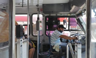 transporte-urbano-mazatlan (3)