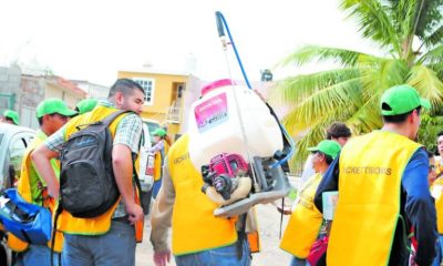 dengue en Sinaloa