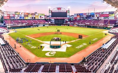 estadio tomateros