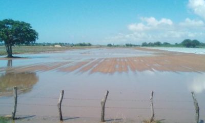 rio-presidio-escuinapa