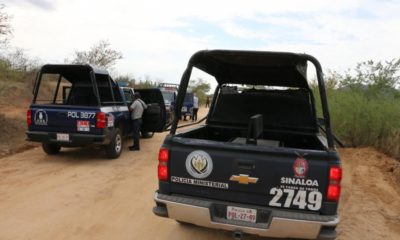 Sinaloa policia