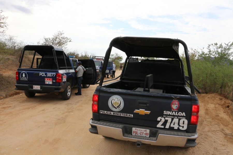 Sinaloa policia