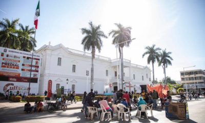 pepnadores-plantados-en-ayuntamiento