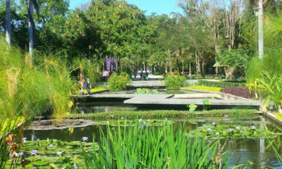 JARDIN_BOTANICO