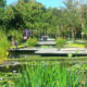 JARDIN_BOTANICO