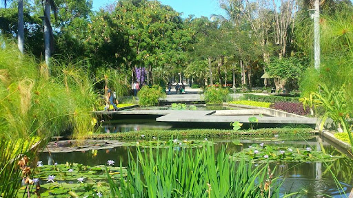 JARDIN_BOTANICO