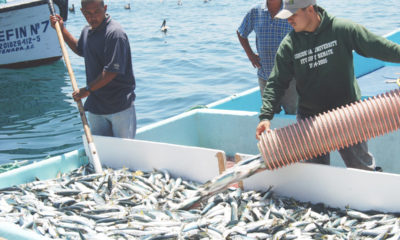 PESCA-SINALOA