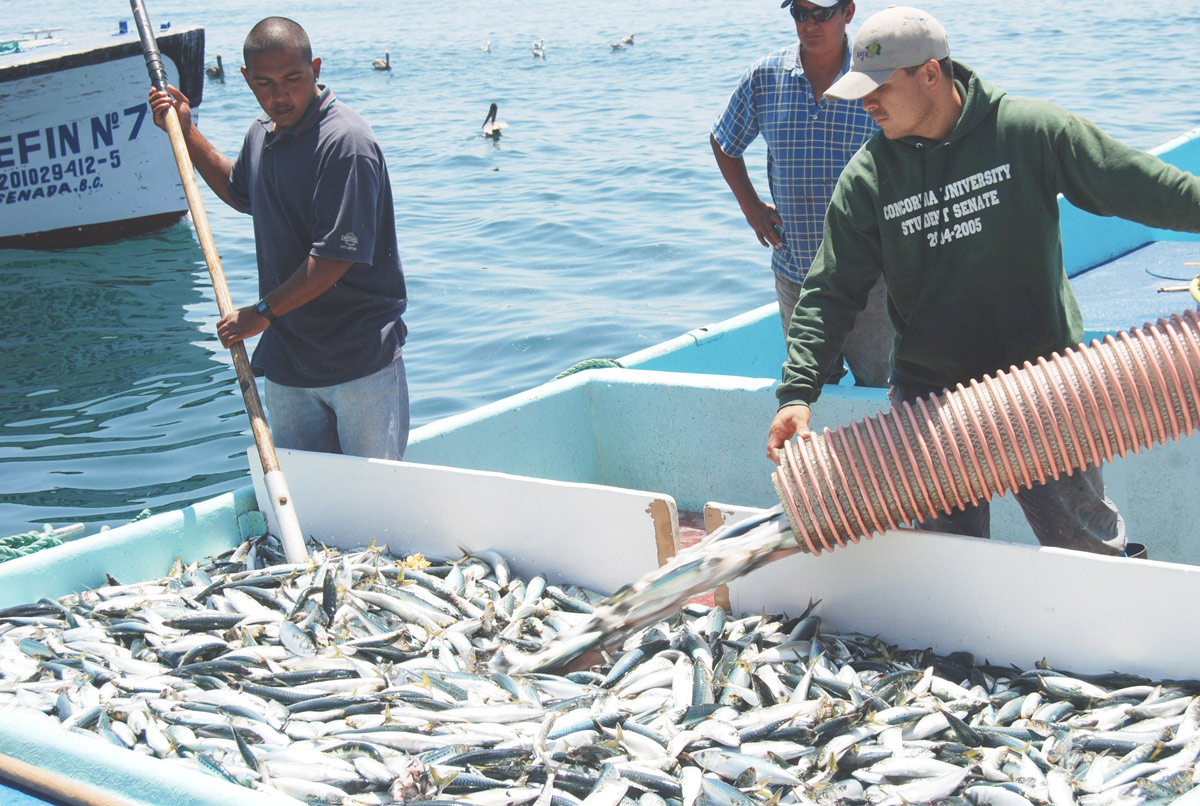 PESCA-SINALOA