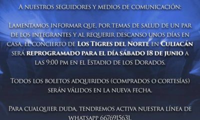 Tigres del norte