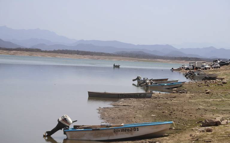 Sequía acelera pesca en la presa Sanalona