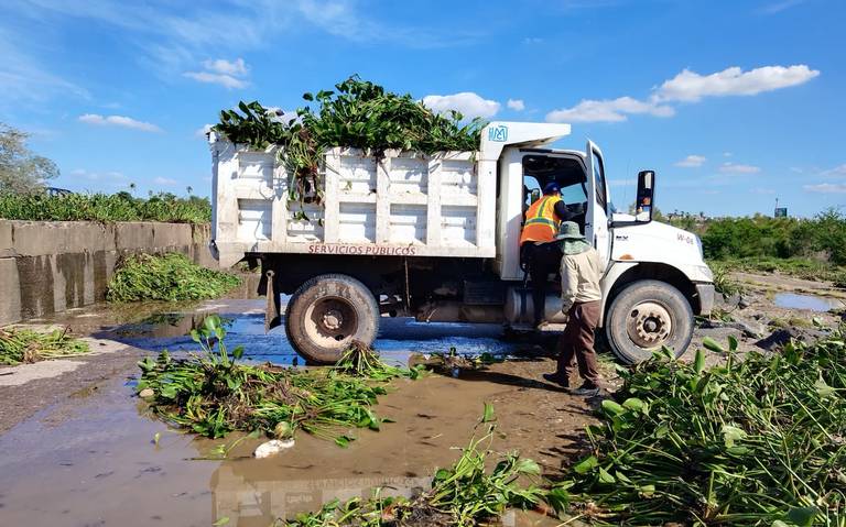 Ayuntamiento recolectan basura y desechos en la presa derivadora