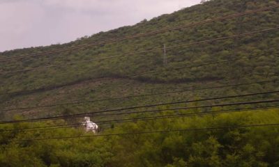 bosque-tropical-de-sinaloa