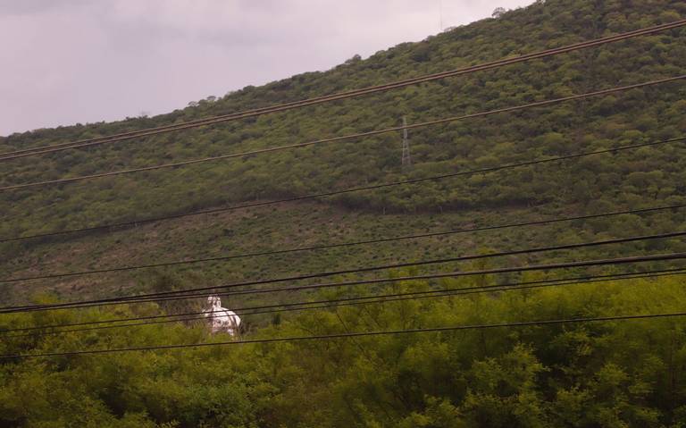 bosque-tropical-de-sinaloa