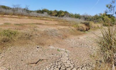 llaman-a-invertir-en-infraestructura-verde-para-evitar-la-crisis-del-agua-en-sinaloa_