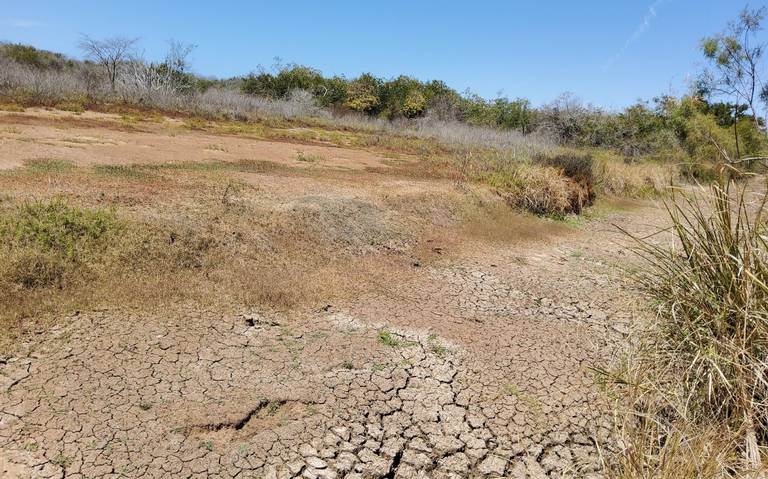 llaman-a-invertir-en-infraestructura-verde-para-evitar-la-crisis-del-agua-en-sinaloa_