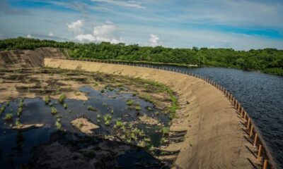 presa-sanalona