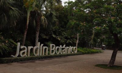 culiacan-lamentan-ciudadanos-feminicidio-en-jardin-botanico