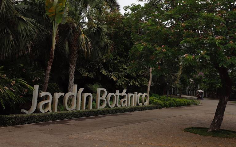 culiacan-lamentan-ciudadanos-feminicidio-en-jardin-botanico