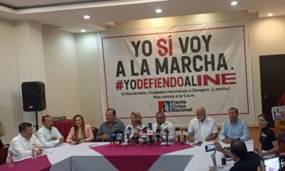 Convocan a marcha para defender el INE el próximo domingo