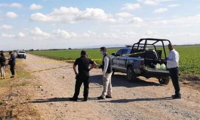 Encuentran asesinado a un hombre cerca de La Michoacana, en Navolato