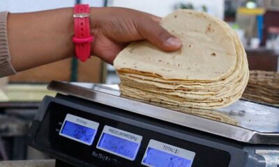 Kilo de tortilla sinaloa no aumentará en 2024