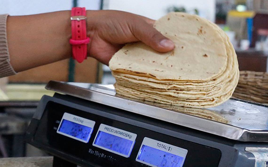 Kilo de tortilla sinaloa no aumentará en 2024