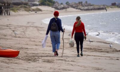 Envenenan a perros y gatos en Playa de Sinaloa: Grupo defensor de animales