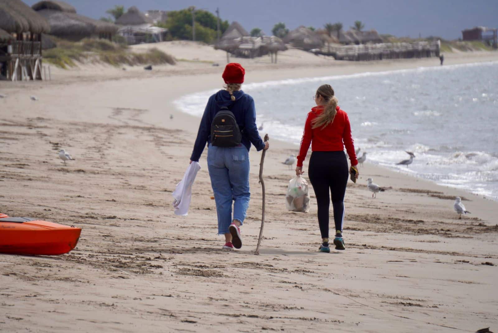 Envenenan a perros y gatos en Playa de Sinaloa: Grupo defensor de animales